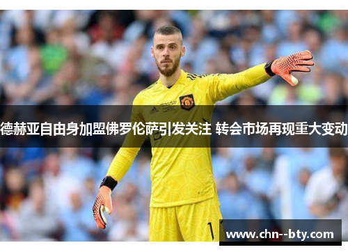 德赫亚自由身加盟佛罗伦萨引发关注 转会市场再现重大变动